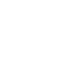 Pan Skull Logo